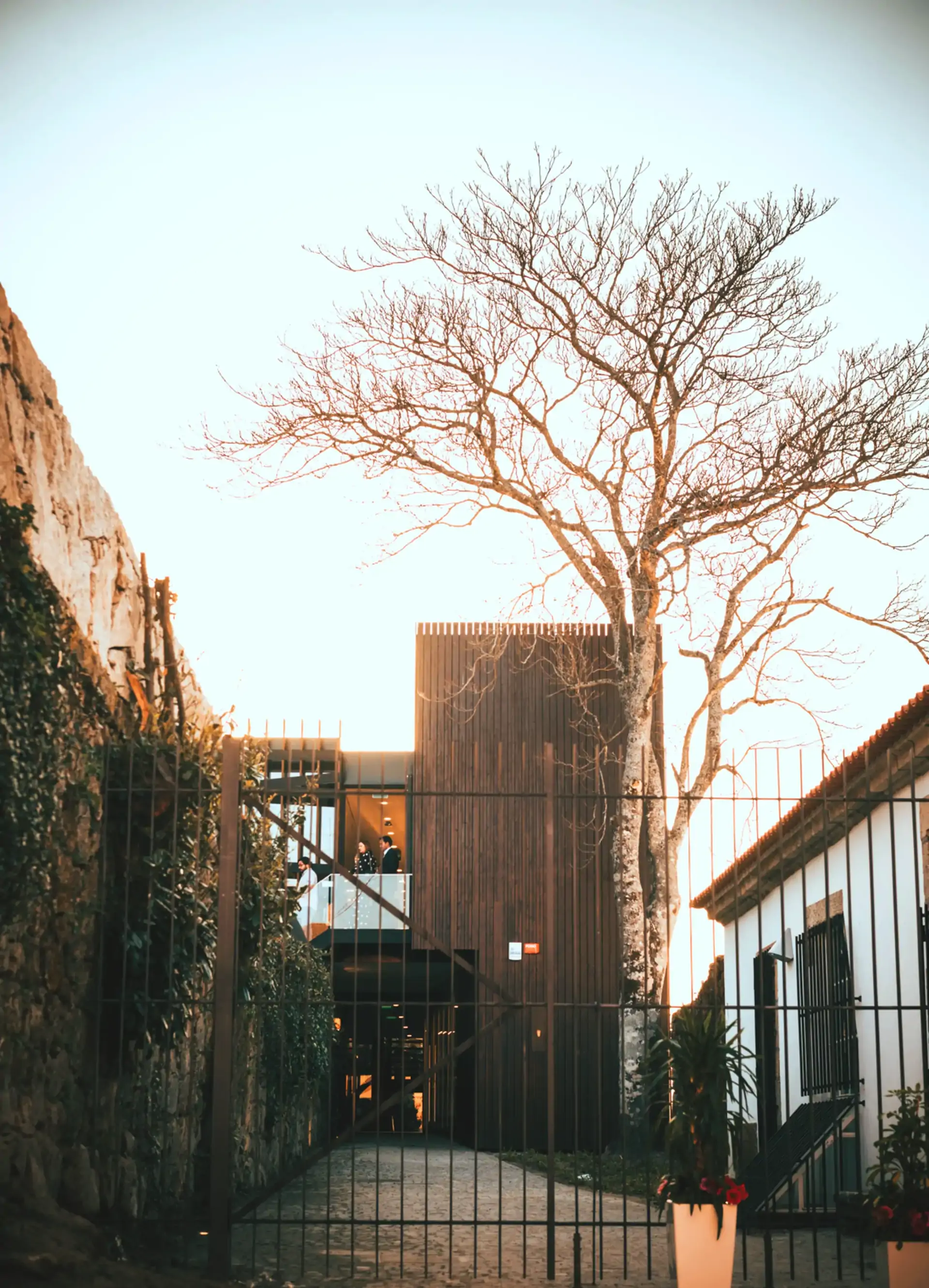 Rota dos Vinhos