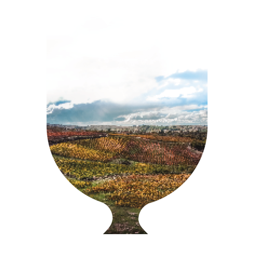 Gastronomia e Vinhos